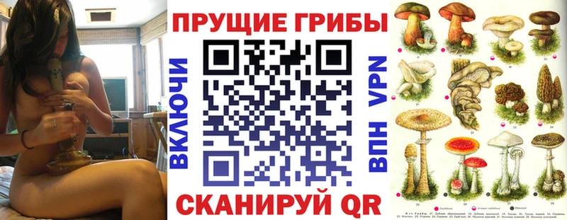 Галлюциногенные грибы Cubensis  hydra ССЫЛКА  Петровск-Забайкальский  цена  