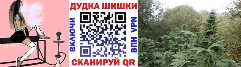 купить закладку  Петровск-Забайкальский  hydra зеркало  Марихуана тримм 